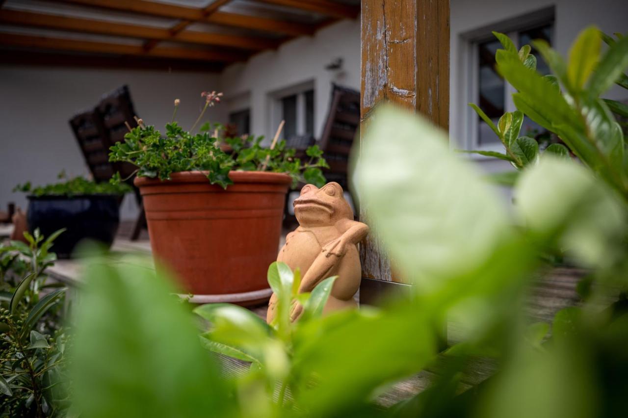 Winzerferienhaus Schueller Purbach am Neusiedlersee Εξωτερικό φωτογραφία
